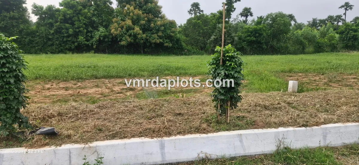 EAST FACING PLOT NEAR ANANDAPURAM - ANANDAPURAM - image 3