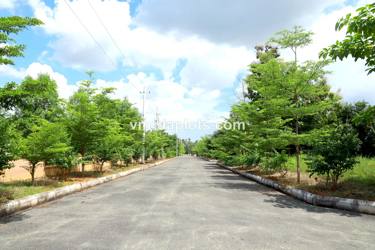 Residential Plots In Dakamarri - DAKAMARRI - image 2