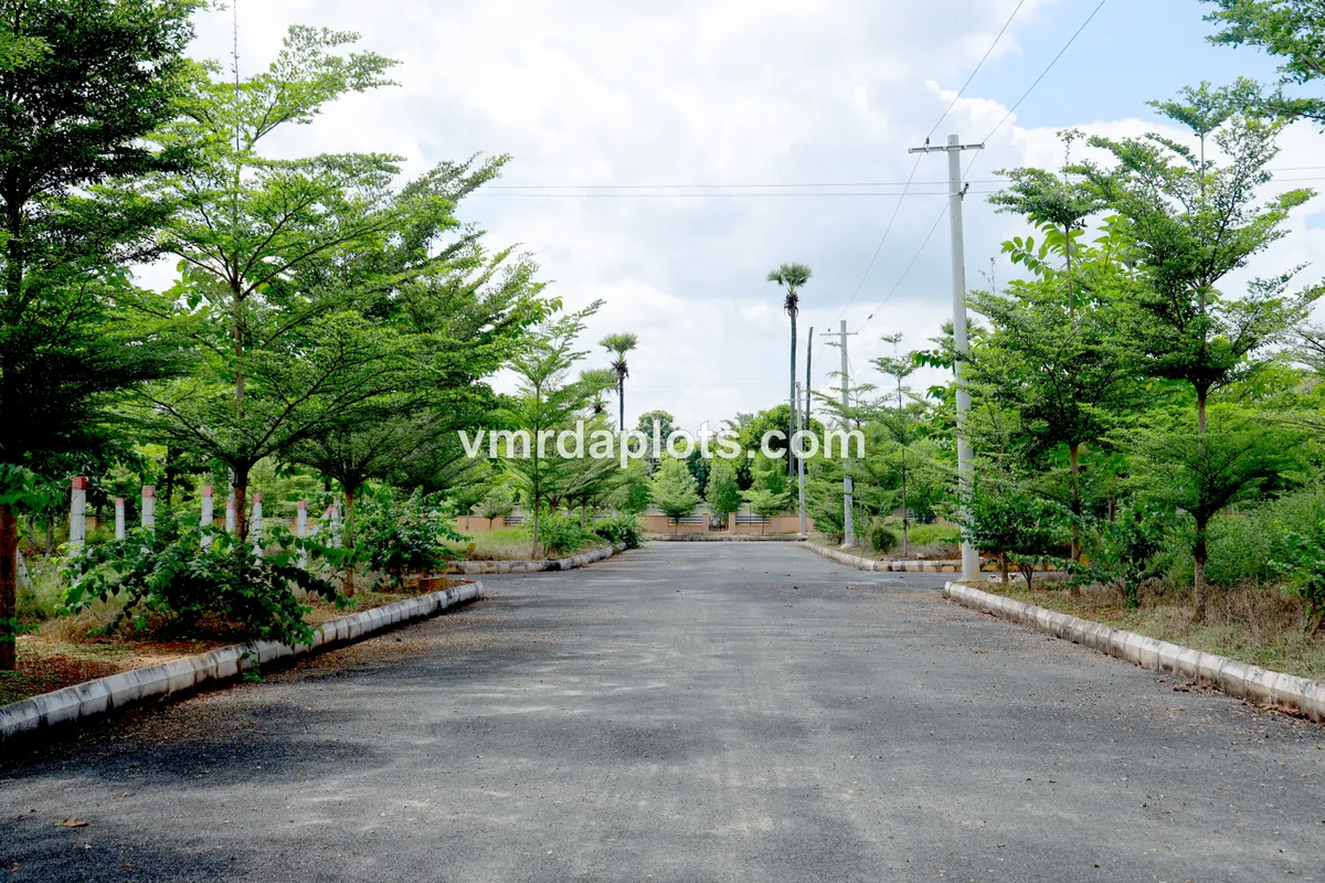 Residential Plots In Dakamarri - DAKAMARRI - image 4