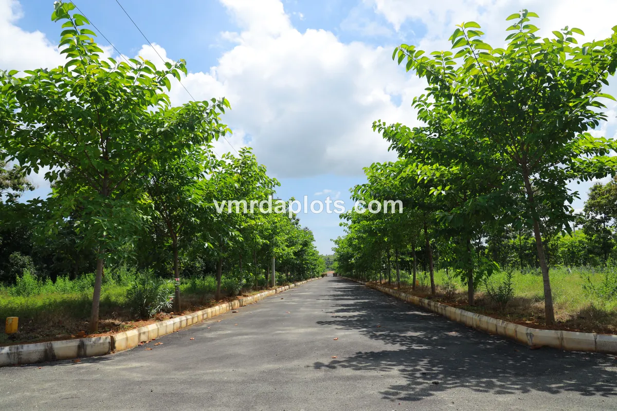 Residential Plots In Dakamarri - DAKAMARRI - image 3