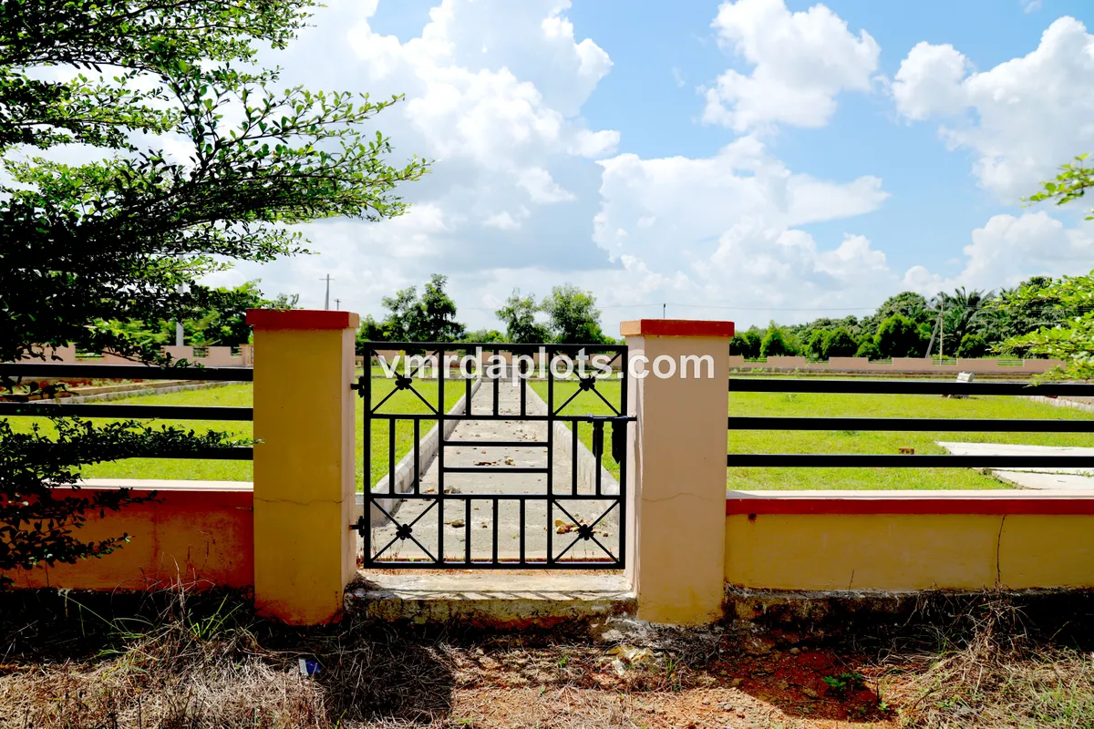 Residential Plots In Dakamarri - DAKAMARRI - image 5